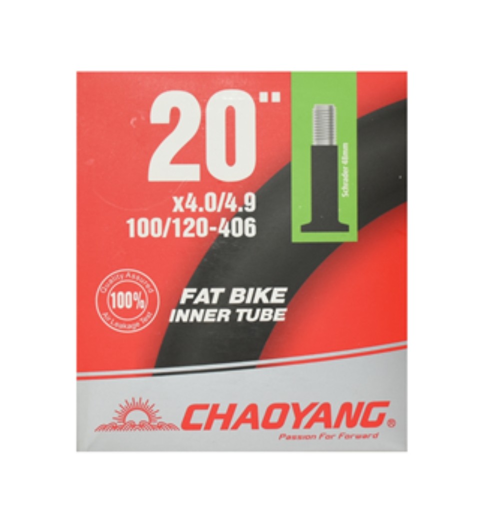 Chaoyang Slange 20x4.0-4.9 AV 48mm